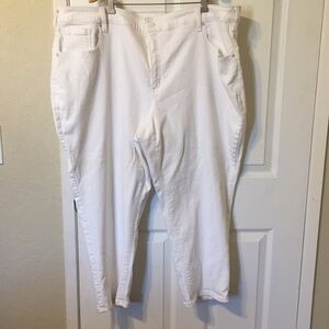 Lane Bryant women jeans plus size 24